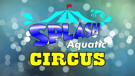 splash cirkus reviews  FOR THE HOLE FAMILY… Follow us on Facebook